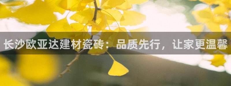杏鑫官网最新信息新闻报道